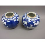 Pair of Chinese blue and white Prunus Blossom pattern ginger jars (minus covers)