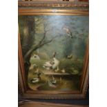 Large 20th Century oil on canvas, study of ducks in a landscape, 39ins x 30ins, gilt framed
