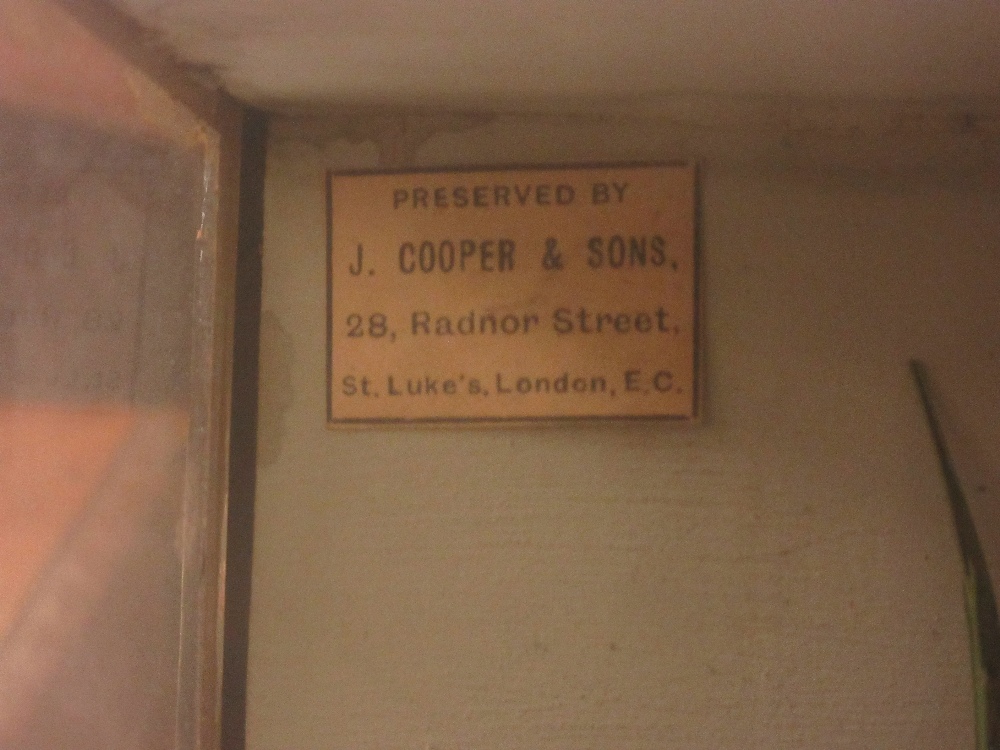 Early 20th Century taxidermy cased perch and rudd in naturalistic setting, label for J. Cooper & - Image 4 of 8