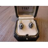 Pair of 9ct gold sapphire and diamond cluster stud earrings Estimate of £80 - 120 these are