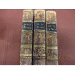 Three volumes ' The Count of Monte Cristo ' by Alexander Dumas , published in Belfast by Simms and