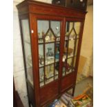 Edwardian mahogany and inlaid two door display cabinet