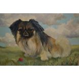 David Vivians, signed oil, portrait of a Pekinese in a landscape, 14ins x 17ins