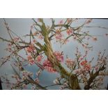 20th Century Chinese oil canvas, study of prunus blossom, signed in Chinese characters and choi,