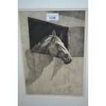 L.R. Brightwell, artist signed etching, study of a horse's head, framed