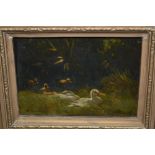Small oil on panel, study of ducks, signed A. Schouman, together with two other small oil