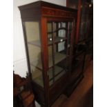 Edwardian mahogany satinwood crossbanded and marquetry decorated display cabinet with a single bar