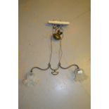 Early 20th Century brass two branch rise and fall light fitting having Vaseline glass shades Both