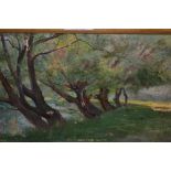 O. Pitman signed oil on canvas board, trees in a sunlit river landscape, 8ins x 12ins
