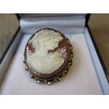 Oval 9ct gold mounted carved shell cameo portrait brooch
