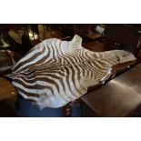 Large zebra skin rug