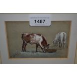 Small watercolour heightened with body colour, study of cattle, signed with initials H.H., 3.75ins x