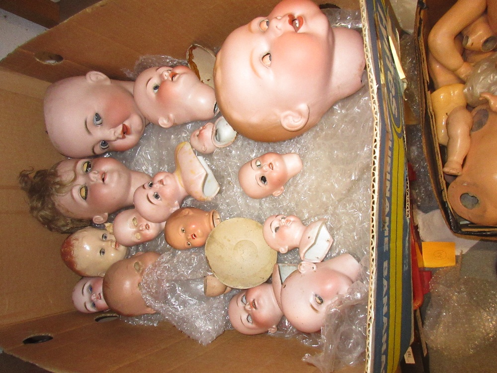 Quantity of various bisque dolls heads, including large Simon and Halbig head with sleeping and side