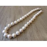Cultured pearl necklace with a 9ct white gold ball clasp Length is 44.5cms including the ball clasp.