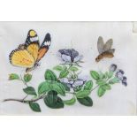 SET OF SIX CHINESE PITH OR RICE PAPER PAINTINGS, of butterflies and other insects in flowering
