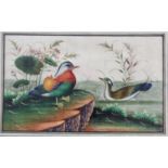 CHINESE PITH OR RICE PAINTING, of mandarin ducks on a lake, 20cm x 32cm; together with another of