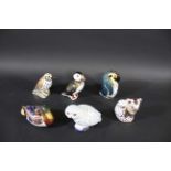 ROYAL CROWN DERBY PAPERWEIGHTS 6 boxed paperweights including Song Thrush, Mallard Duck, Snowy