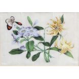 SET OF FOUR CHINESE PITH OR RICE PAPER PAINTINGS, of butterflies amongst flowers, 17cm x 22cm;