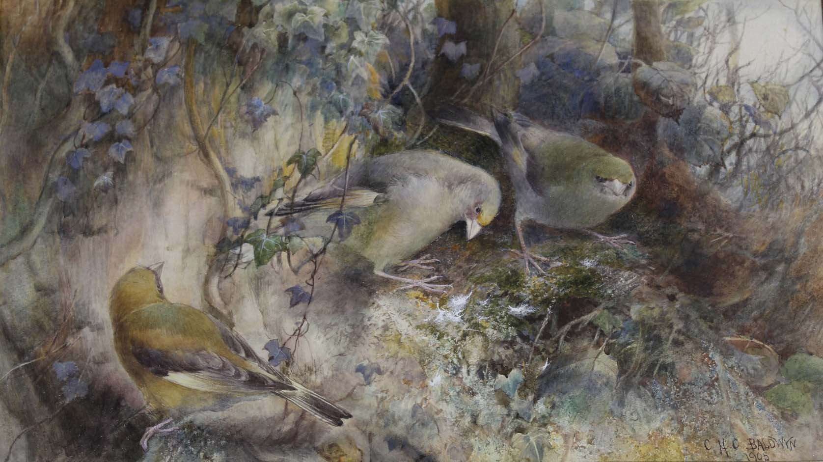 CHARLES HENRY CLIFFORD BALDWYN (1859-1943) HAUNT OF THE GREENFINCHES (`THE WOODLANDERS`) Signed