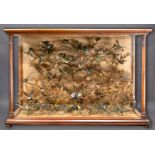 TAXIDERMY: Cased display of approximately forty five hummingbirds, late 19th century, in a