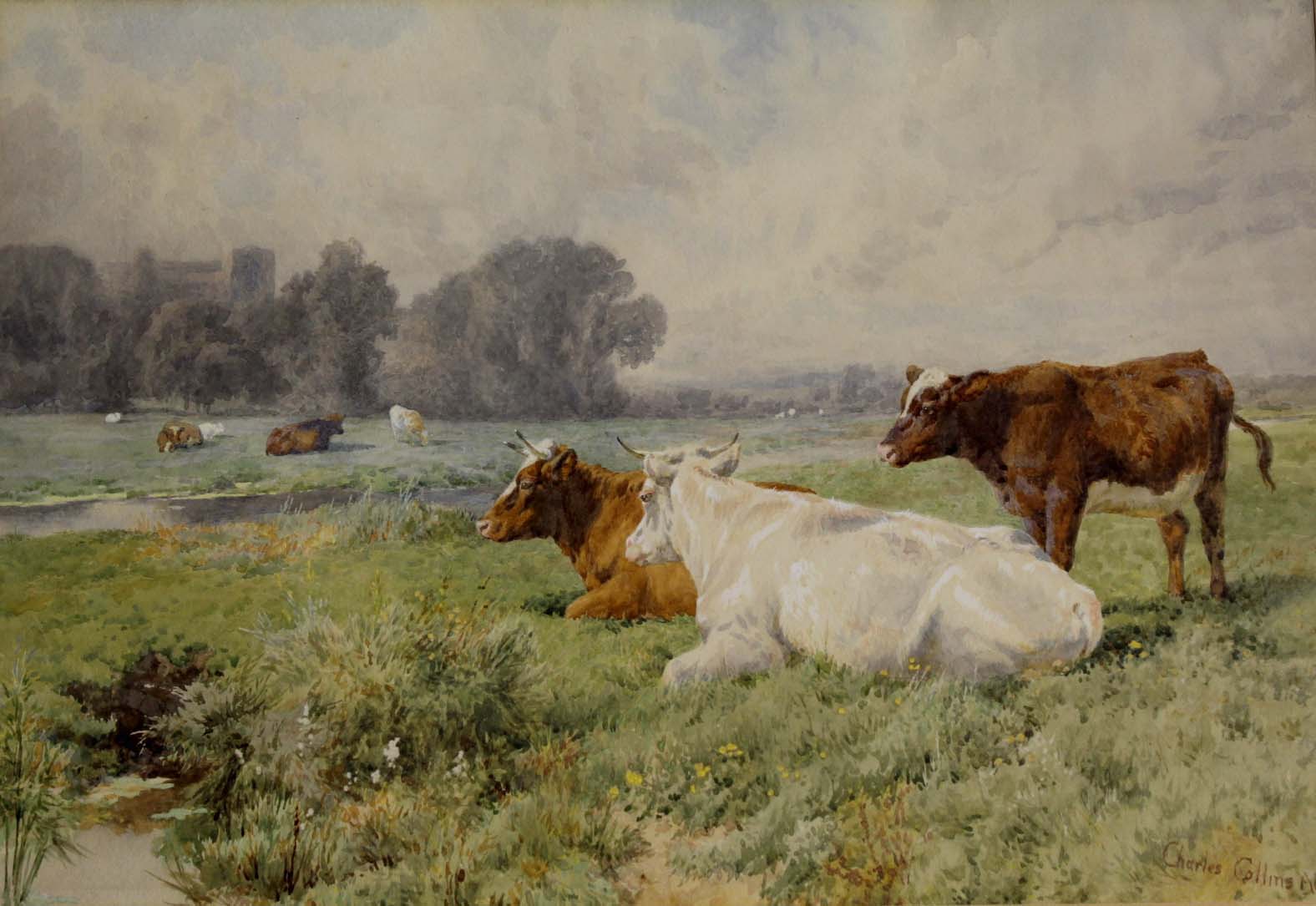 CHARLES COLLINS (1851-1921) COWS IN A RIVERSIDE MEADOW Signed, watercolour heightened with white