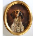 •MICK CAWSTON FOX HOUND Signed, oil on canvas, oval 48 x 38cm.