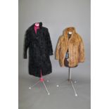 VARIOUS FURS including a 1940's fur cape, 4 Fox stoles, 3 fur collars, a 1950's pale fur jacket, and