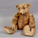 EARLY STEIFF TEDDY BEAR a large early Steiff Teddy Bear circa 1908, with elongated limbs, hump