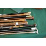 COLLECTION OF WALKING STICKS including a horn top walking stick with silver collar, an interesting