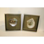 FRAMED PAINTED MOTHER OF PEARL SHELLS 2 large Mother of Pearl shells, one painted with a Lion