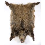 WILD BOAR SKIN RUG a mounted Wild Boar skin rug, including Head, tusks and feet. 154cms long from