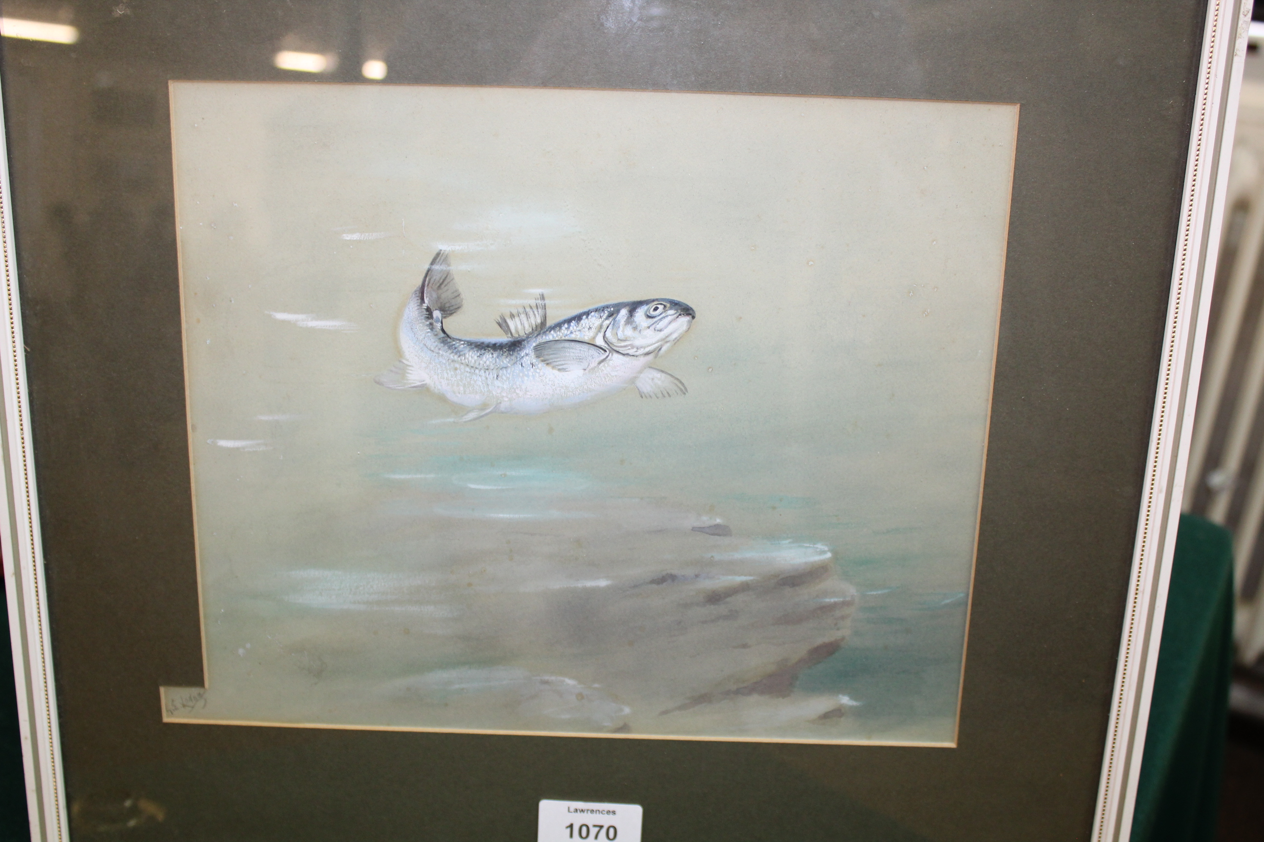 •GEORGE EDWARD LODGE A LEAPING SALMON Signed, watercolour and bodycolour 22.5 x 27cm approx. - Image 6 of 11