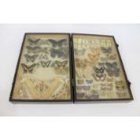 CASED BUTTERFLIES & MOTHS a folding wooden case containing a variety of Butterflies and Moths,