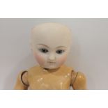 RARE EARLY STEINER BEBE DOLL an early unmarked Steiner Bebe, with a pale round face, blue fixed eyes