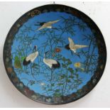 LARGE JAPANESE CLOISONNE CHARGER, 19th century, decorated with white cranes amongst bamboo and other