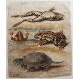 AUGUSTIN DE SAINT-AUBIN (1736-1807) A SHEET OF STUDIES: FROGS AND A TERRAPIN Signed and dated St