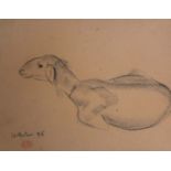 •GEORGES HILBERT (1900-1982) UN CHEVREAU Signed and dated 26, with atelier stamp, charcoal study
