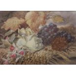MARY ELIZABETH DUFFIELD (1819-1914) STILL LIFE OF FRUITS Signed, watercolour and pencil with gum