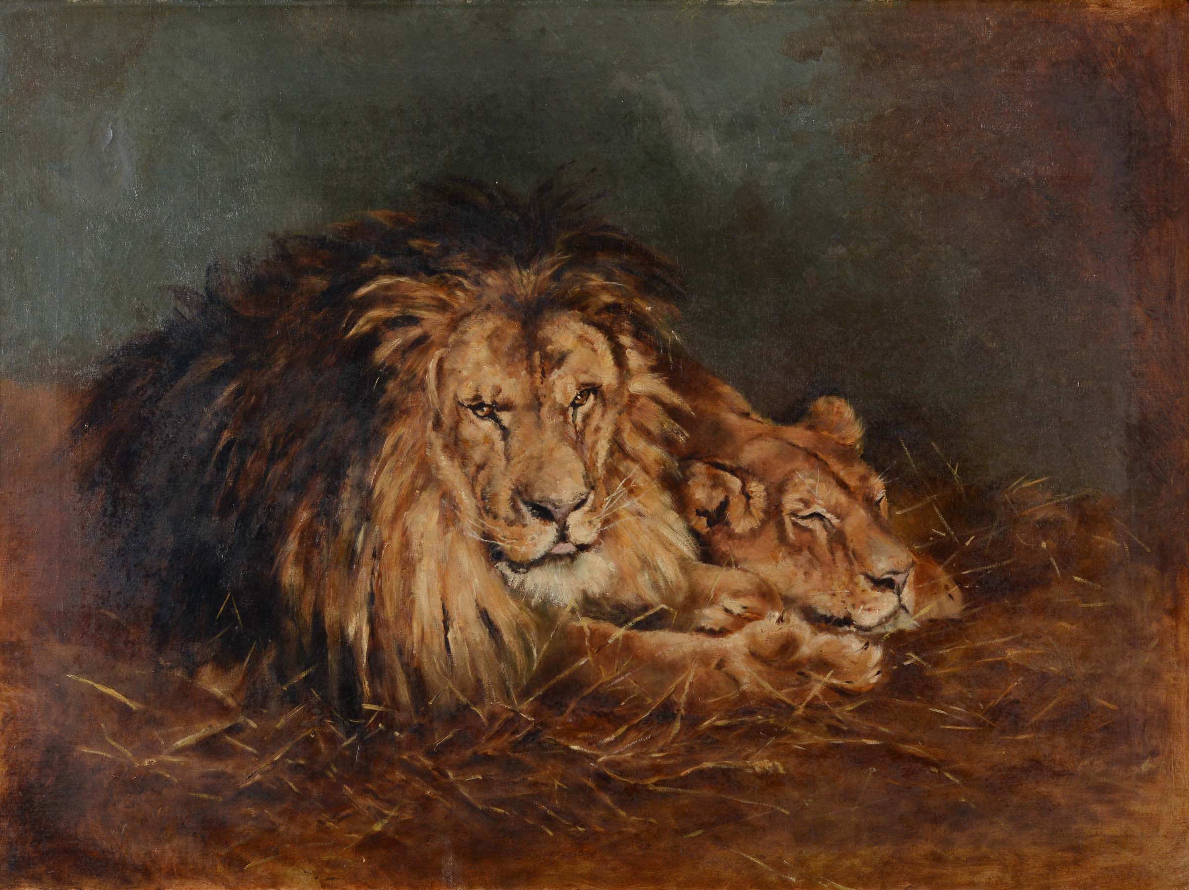 AFTER GEZA VASTAGH (1866-1919) A LION AND A LIONESS Oil on canvas 75 x 100.5cm. Provenance: