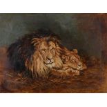 AFTER GEZA VASTAGH (1866-1919) A LION AND A LIONESS Oil on canvas 75 x 100.5cm. Provenance: