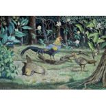 •ALEXANDER C. DALZELL (1905-1990) GREY JUNGLE FOWL Signed, gouache 25.5 x 37.5cm. Exhibited: Shepton