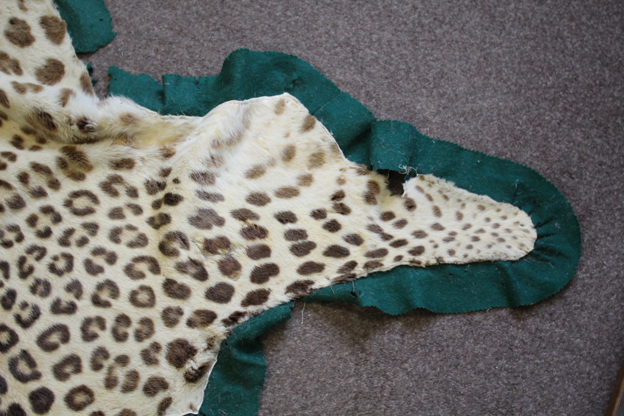 LEOPARD SKIN RUG a Leopard skin rug mounted on a material backing, some damages 247cms long. *This - Image 9 of 11