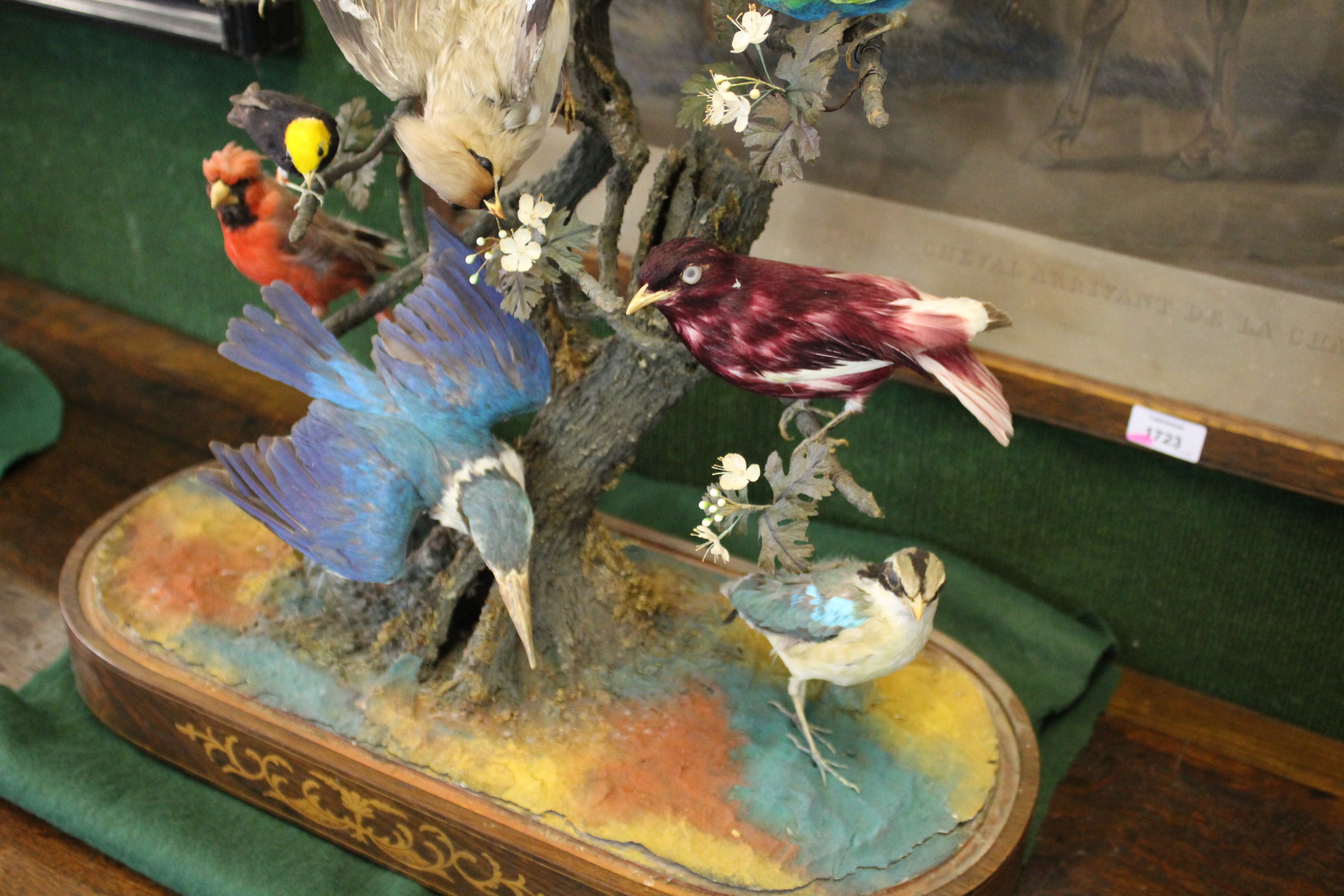 BIRD DIORAMA - GLASS DOME a diorama of various exotic birds mounted on a simulated tree branch. With - Image 3 of 15