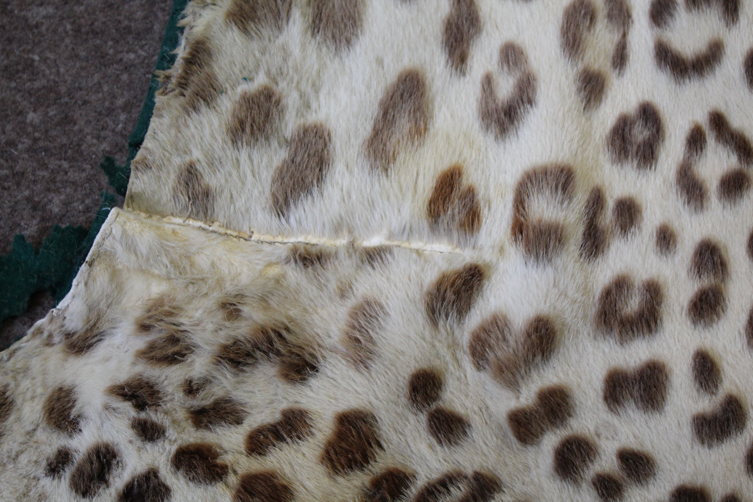 LEOPARD SKIN RUG a Leopard skin rug mounted on a material backing, some damages 247cms long. *This - Image 6 of 11