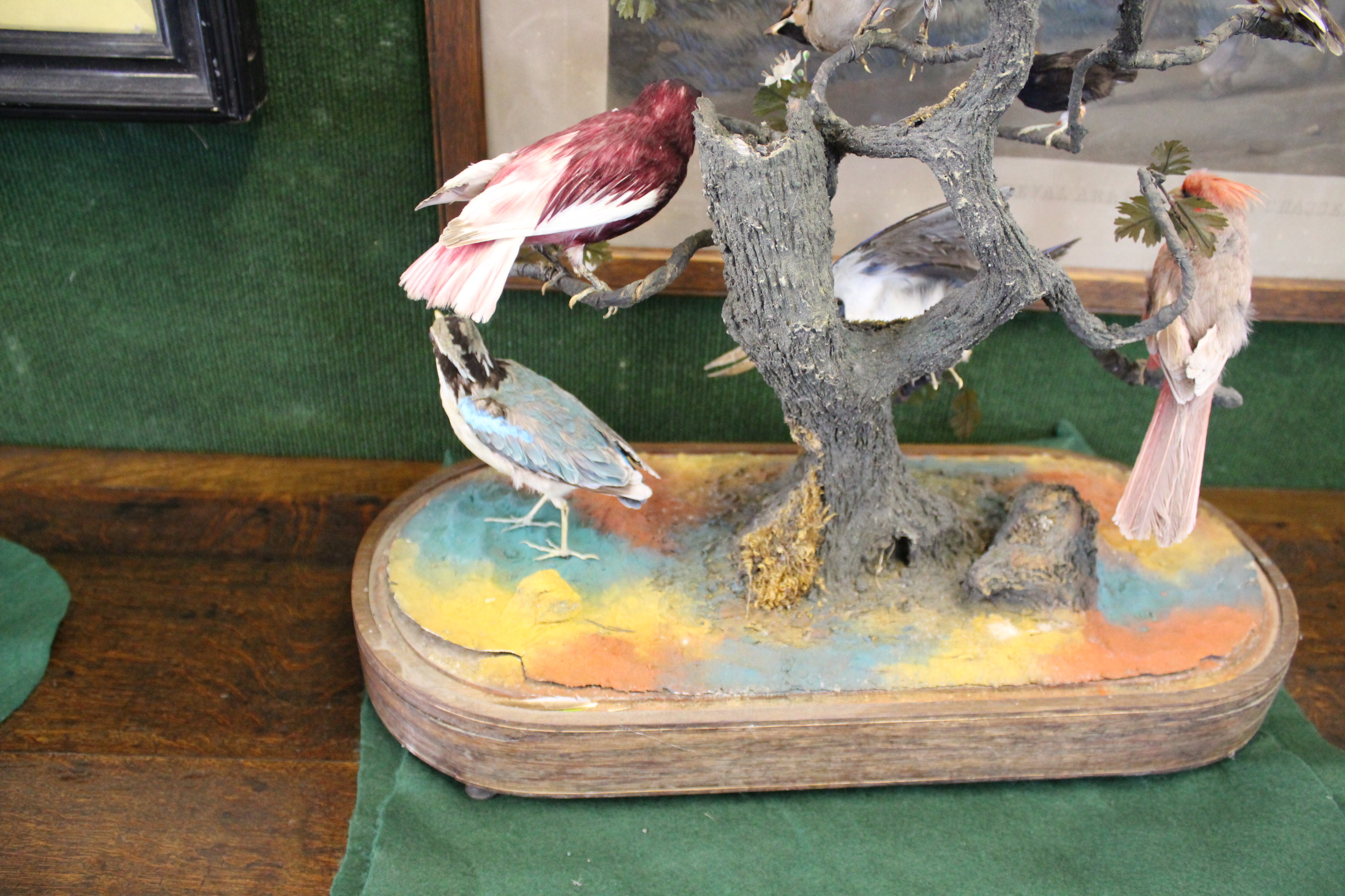 BIRD DIORAMA - GLASS DOME a diorama of various exotic birds mounted on a simulated tree branch. With - Image 9 of 15