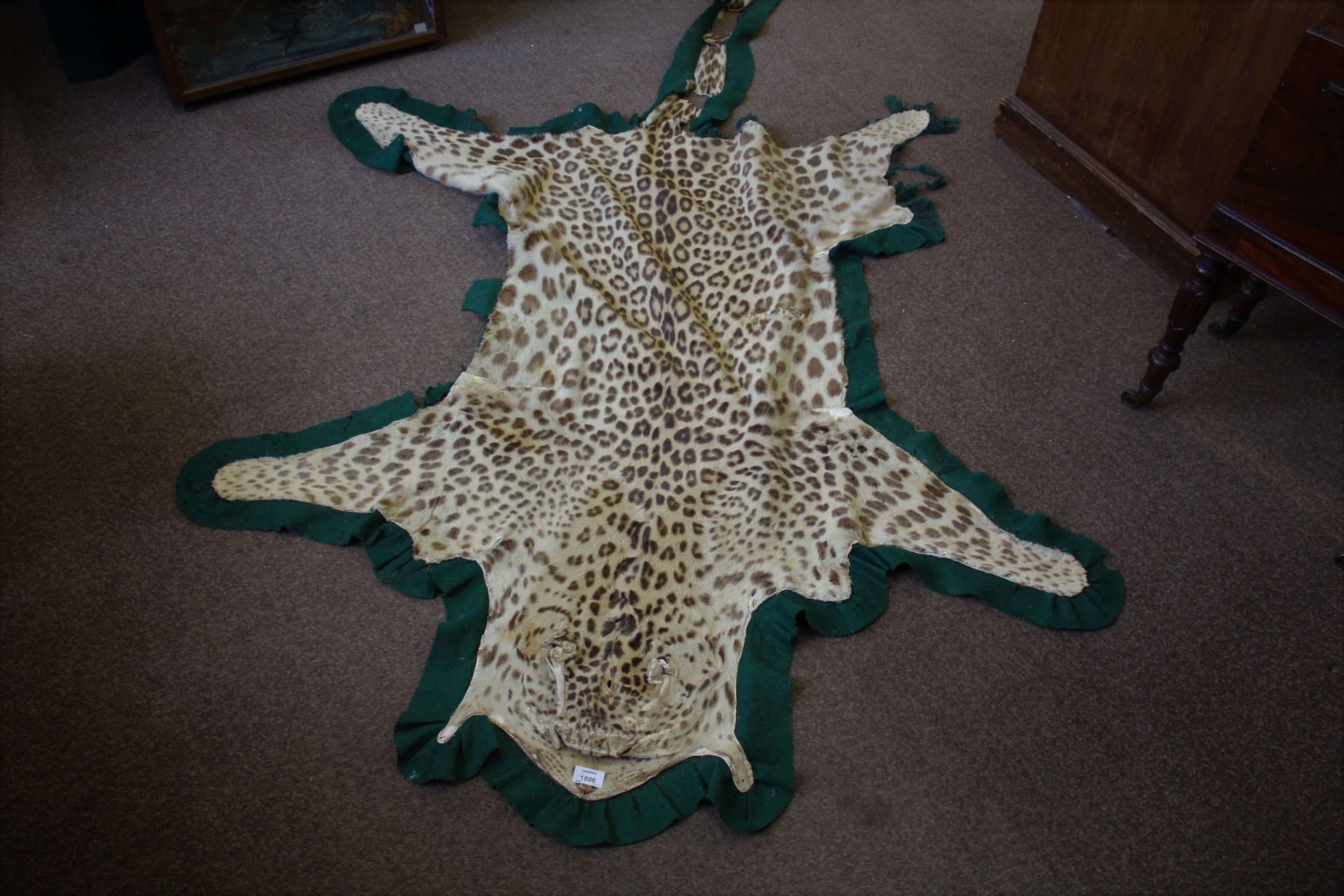 LEOPARD SKIN RUG a Leopard skin rug mounted on a material backing, some damages 247cms long. *This - Image 3 of 11