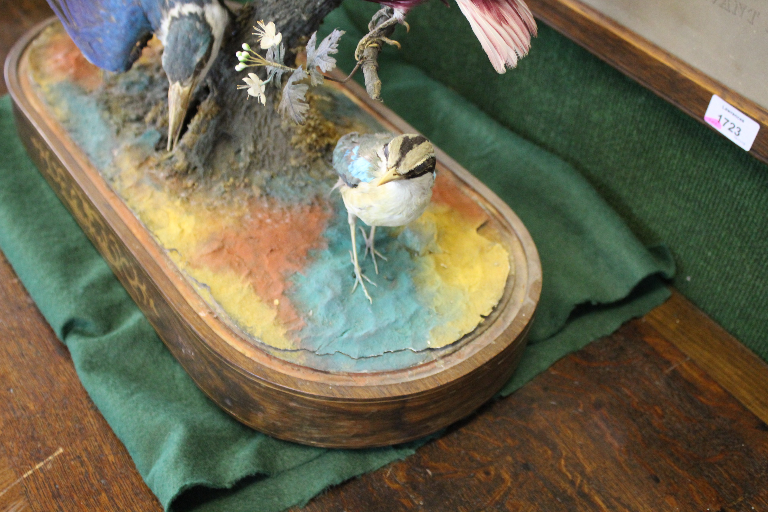 BIRD DIORAMA - GLASS DOME a diorama of various exotic birds mounted on a simulated tree branch. With - Image 7 of 15