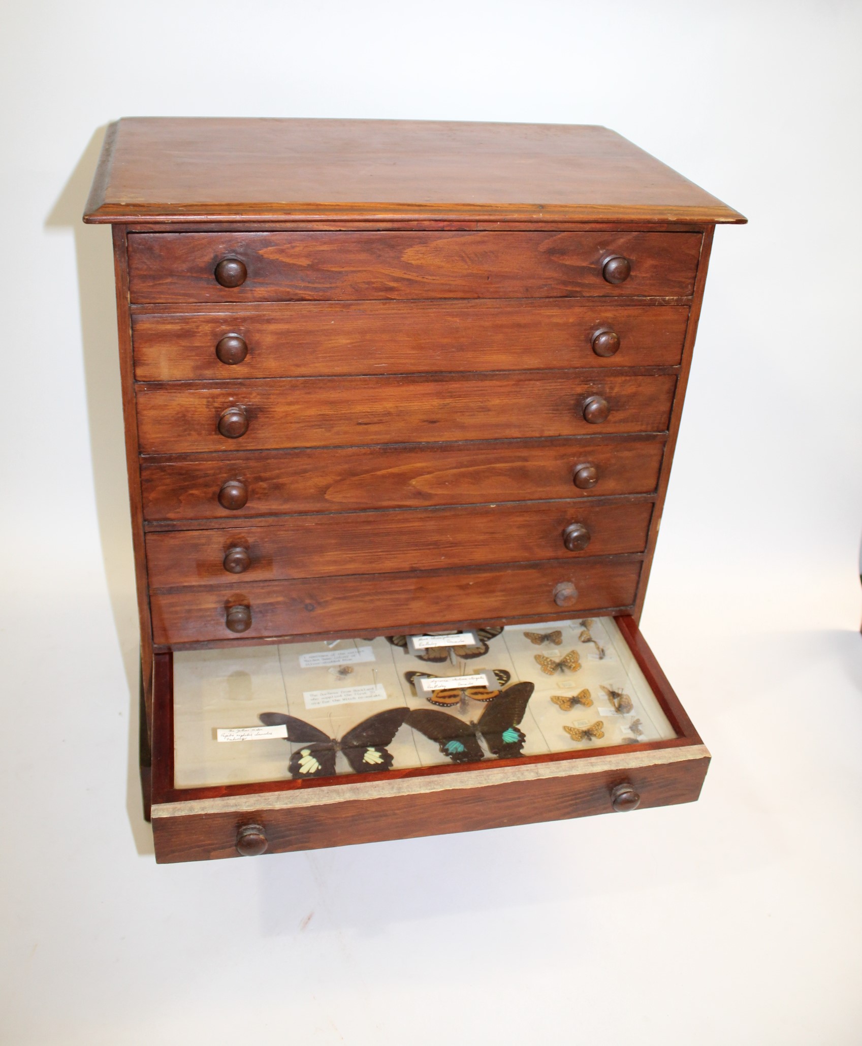 COLLECTORS CABINET & BUTTERFLIES a 8 drawer pine cabinet with various Butterfly and Moth speciemens, - Image 2 of 8