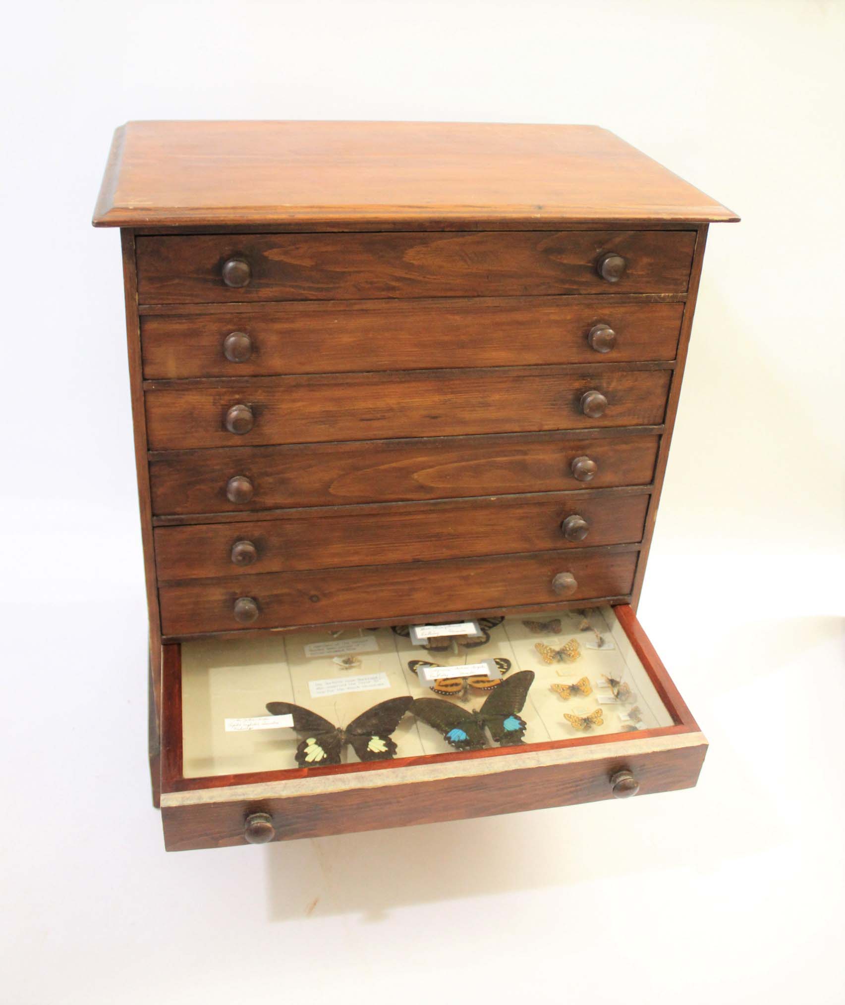 COLLECTORS CABINET & BUTTERFLIES a 8 drawer pine cabinet with various Butterfly and Moth speciemens,