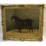 M BATTAMS - OIL PORTRAIT OF A HORSE an oil on canvas portrait of a Horse in a stable, Gipsy, mounted